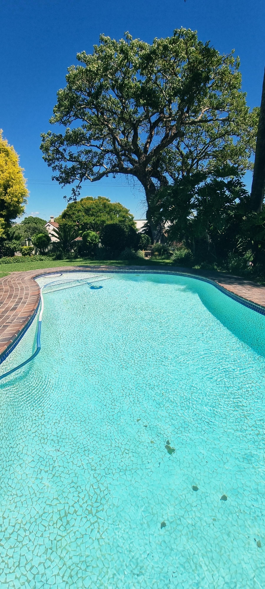 Commercial Property for Sale in King Williams Town Central Eastern Cape